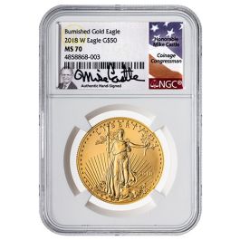 2018-W NGC MS-70 1 oz American Gold Eagle Burnished Coin - Mike Castle Label