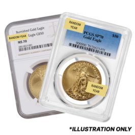 NGC or PCGS MS/SP-70 1 oz American Gold Eagle Burnished Coin - Random Year and Seal